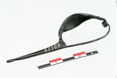 Foto von Bronzekahnfibel (NHMW-PRAE-025168)